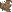 Dried foliage